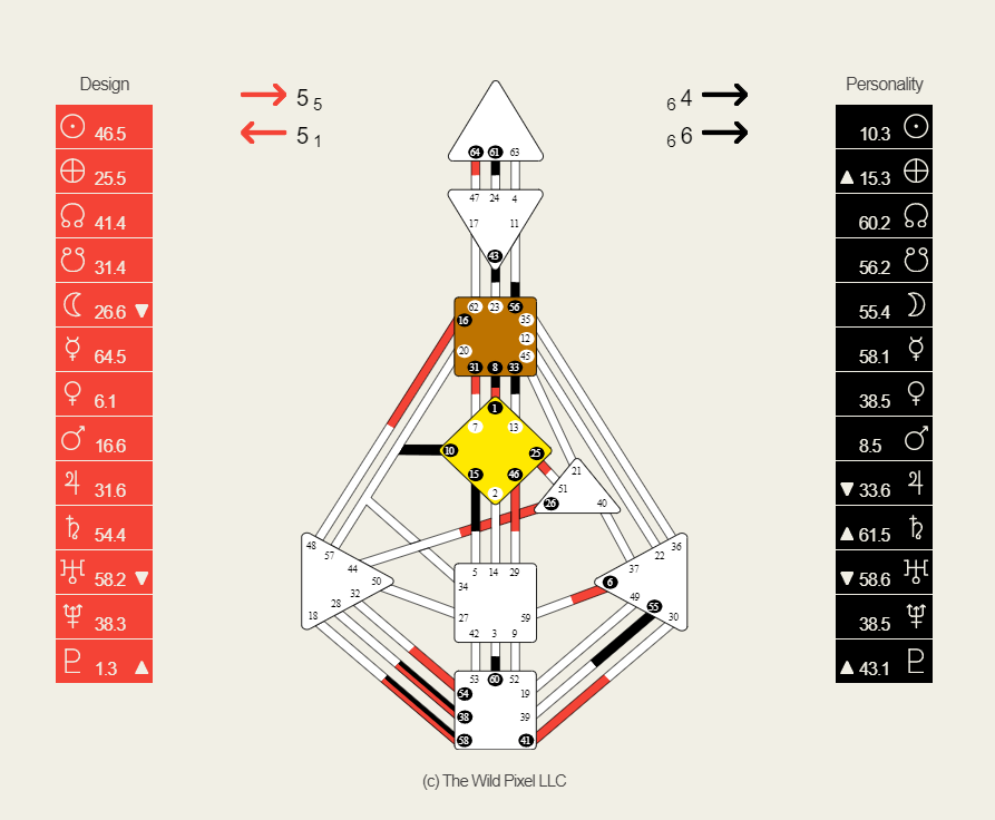 What is Human Design? — The Wild Pixel